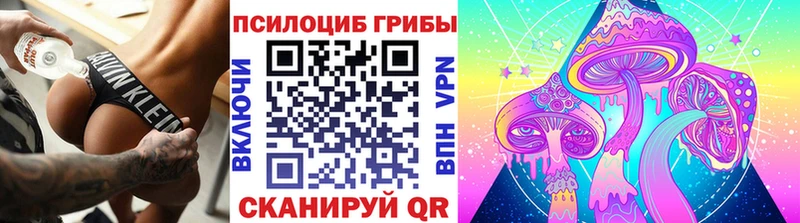 Галлюциногенные грибы Psilocybe  закладка  Можга 